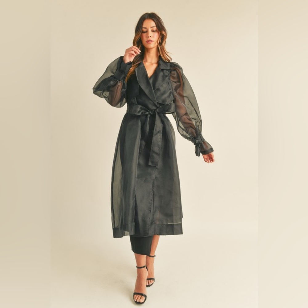 350. MABLE Organza Puff Sleeve Sheer Trench Coat - Picture 2 of 6